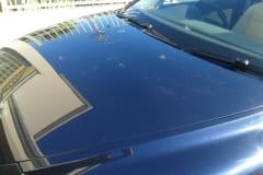 Volvo C70 Convertible Swirl and Holograms Removed